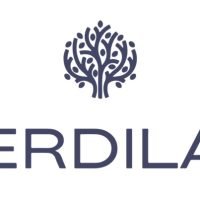 Verdilab_banner_brand